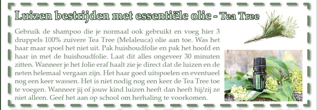 Luizen bestrijden met essentiële olie - Tea Tree